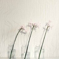 Farben und Tapeten bei Donath Heimdecor © Werkhaus