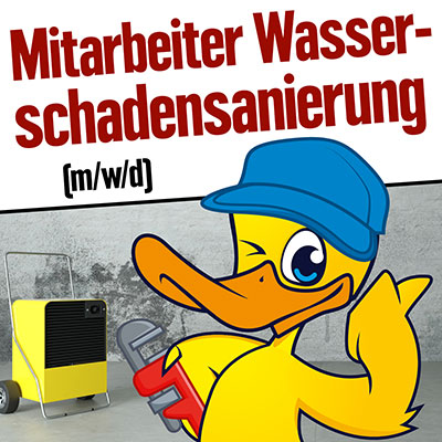 Mitarbeiter für die Wasserschaden-Sanierung dringend gesucht! Donath Heimdecor