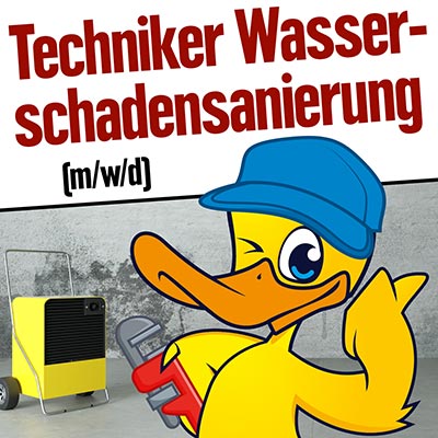 Techniker Wasserschaden-Sanierung dringend gesucht! Donath Heimdecor